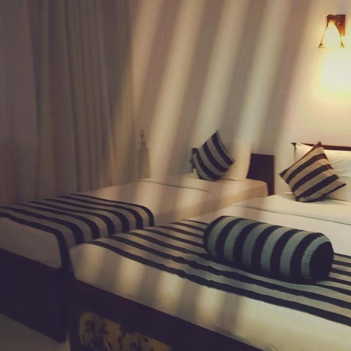 Shadow Inn Ella Room photo